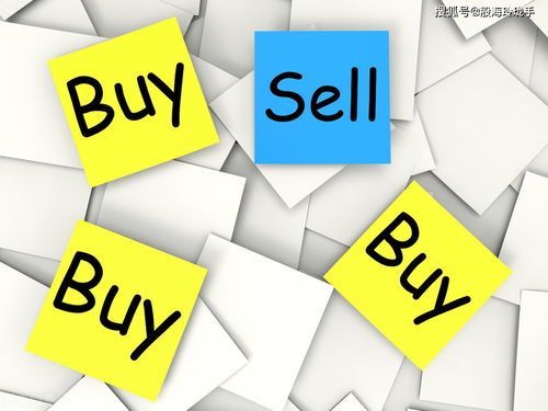 中国股市投资警示 缺乏正确交易理念，何以驾驭市场风云？兼谈网络与信息安全软件开发的重要性